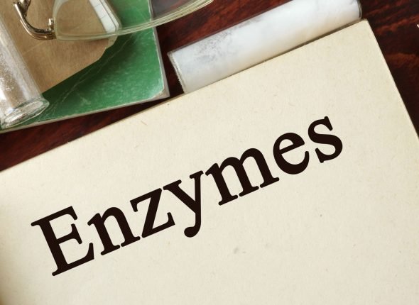 59155792 - enzymes written on a page. chemistry concept.